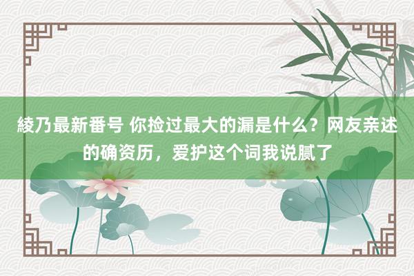 綾乃最新番号 你捡过最大的漏是什么？网友亲述的确资历，爱护这个词我说腻了