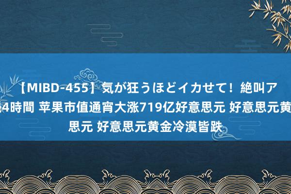 【MIBD-455】気が狂うほどイカせて！絶叫アクメ50連発4時間 苹果市值通宵大涨719亿好意思元 好意思元黄金冷漠皆跌