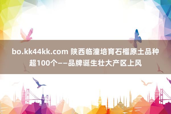 bo.kk44kk.com 陕西临潼培育石榴原土品种超100个——品牌诞生壮大产区上风