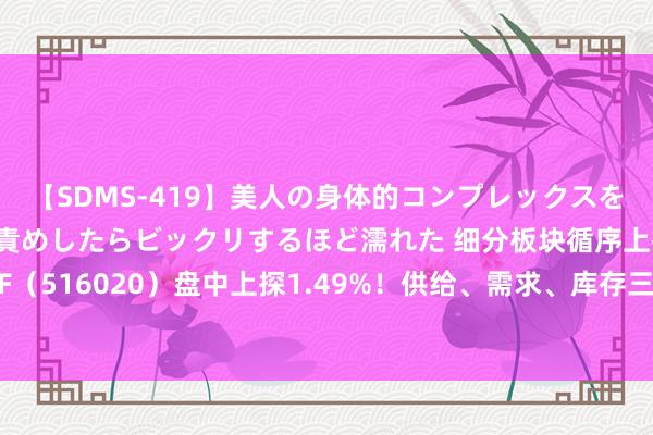 【SDMS-419】美人の身体的コンプレックスを、じっくり弄って羞恥責めしたらビックリするほど濡れた 细分板块循序上扬，化工ETF（516020）盘中上探1.49%！供给、需求、库存三方共振，化工行业周期或已见底？