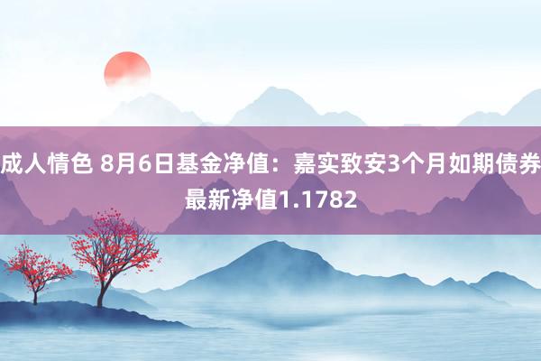 成人情色 8月6日基金净值：嘉实致安3个月如期债券最新净值1.1782