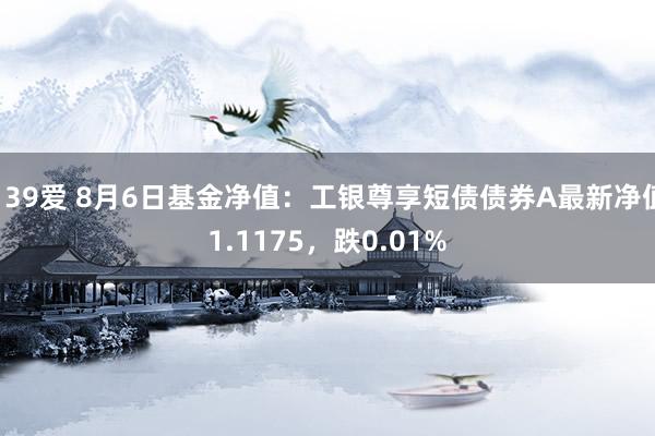 139爱 8月6日基金净值：工银尊享短债债券A最新净值1.1175，跌0.01%