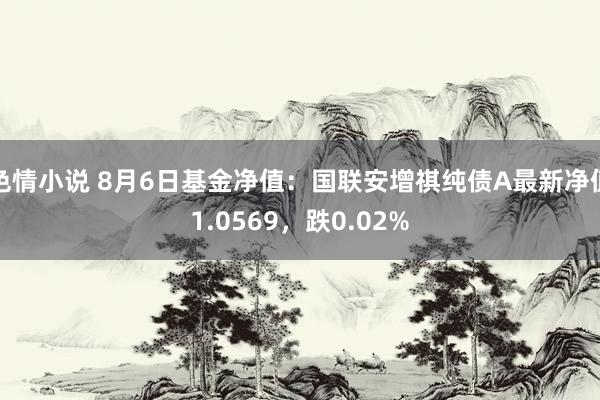 色情小说 8月6日基金净值：国联安增祺纯债A最新净值1.0569，跌0.02%