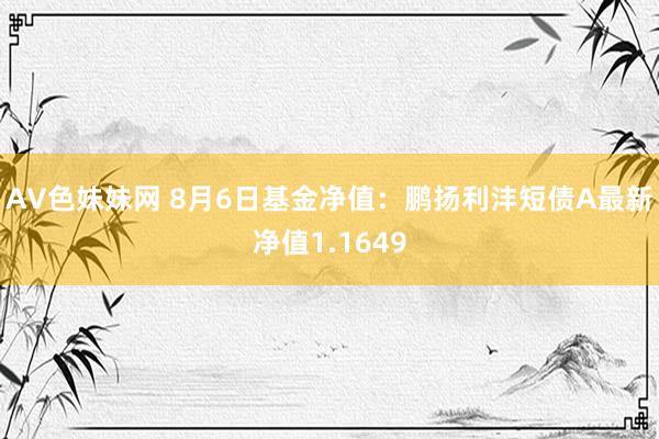 AV色妹妹网 8月6日基金净值：鹏扬利沣短债A最新净值1.1649