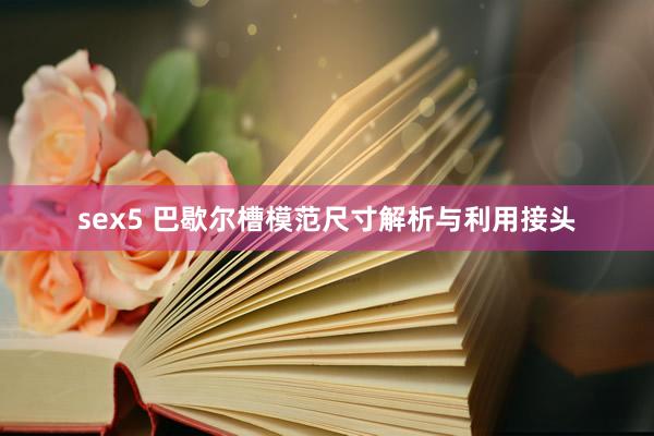 sex5 巴歇尔槽模范尺寸解析与利用接头