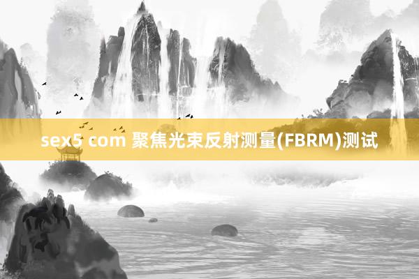 sex5 com 聚焦光束反射测量(FBRM)测试