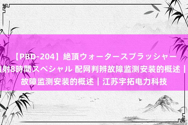 【PBD-204】絶頂ウォータースプラッシャー 放尿＆潮吹き大噴射8時間スペシャル 配网判辨故障监测安装的概述｜江苏宇拓电力科技