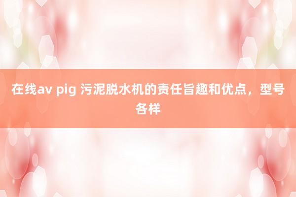 在线av pig 污泥脱水机的责任旨趣和优点，型号各样