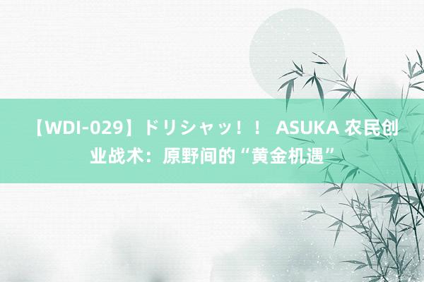 【WDI-029】ドリシャッ！！ ASUKA 农民创业战术：原野间的“黄金机遇”