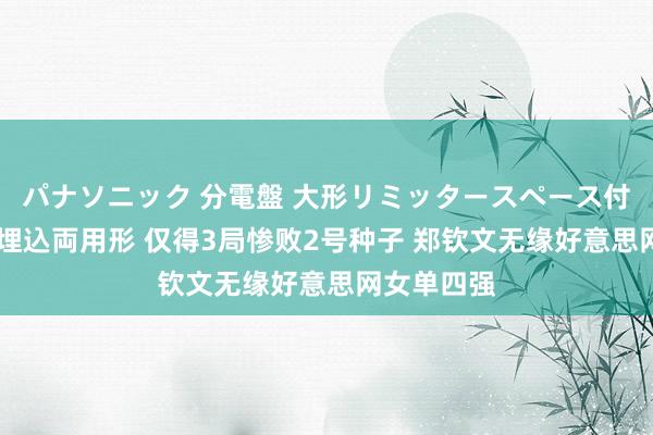 パナソニック 分電盤 大形リミッタースペース付 露出・半埋込両用形 仅得3局惨败2号种子 郑钦文无缘好意思网女单四强