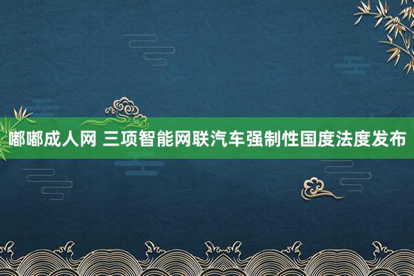 嘟嘟成人网 三项智能网联汽车强制性国度法度发布