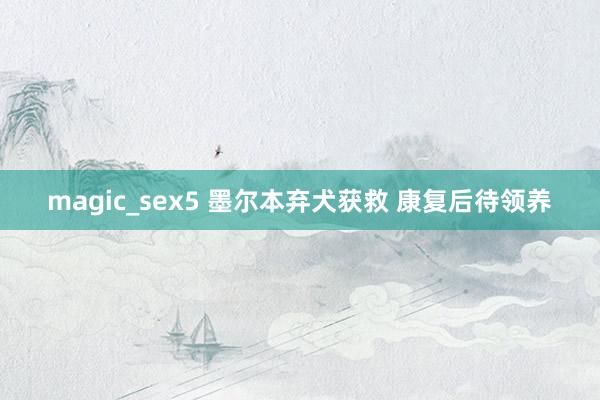 magic_sex5 墨尔本弃犬获救 康复后待领养