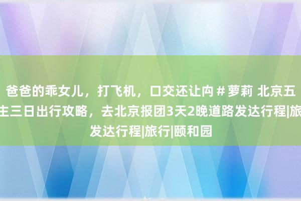 爸爸的乖女儿，打飞机，口交还让禸＃萝莉 北京五个东说念主三日出行攻略，去北京报团3天2晚道路发达行程|旅行|颐和园