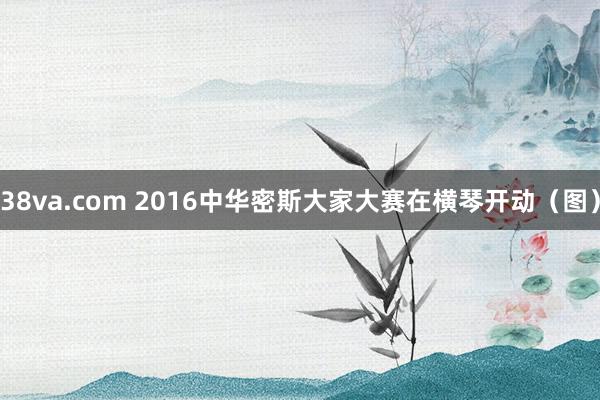 38va.com 2016中华密斯大家大赛在横琴开动（图）