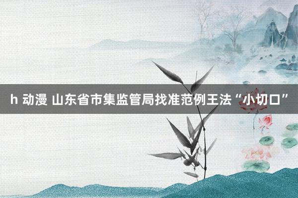 h 动漫 山东省市集监管局找准范例王法“小切口”