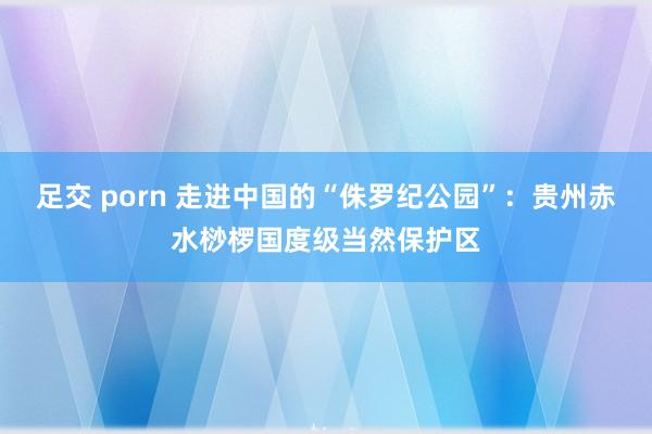 足交 porn 走进中国的“侏罗纪公园”：贵州赤水桫椤国度级当然保护区